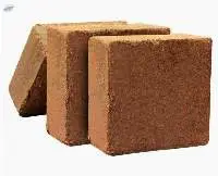 Cocopeat 5 kg Brick