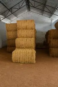Coir Fibre Bales 120 kg Bundles