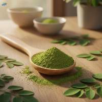 Exports Grade Quality Moringa Powder