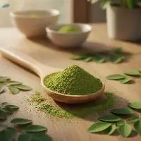 Exports Grade Quality Moringa Powder
