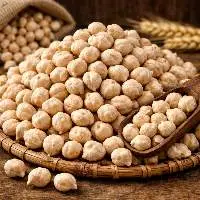 Exports Grade Premium Kabuli Chickpeas