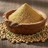 Exports Grade Quality Coriander Powder