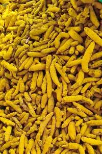 Premium Quality Indian Turmeric Fingers