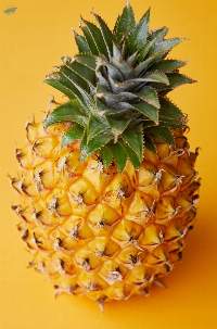Fresh Pineapple