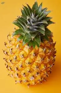 Fresh Pineapple