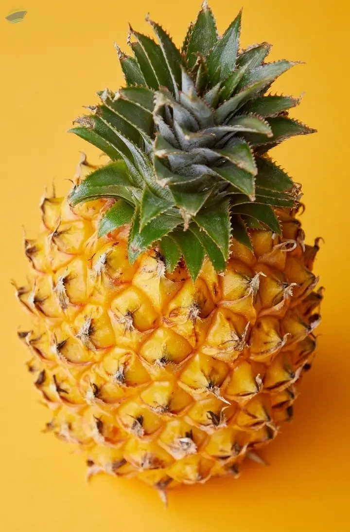 Fresh Pineapple