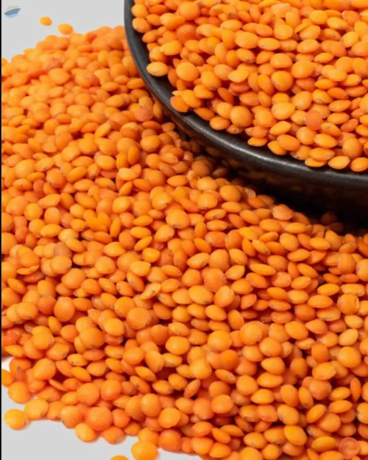 Red Lentils