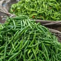 Fresh Green Chilli