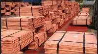 Copper Cathode