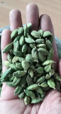 Green Cardamom