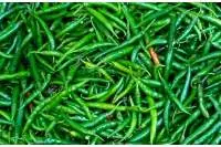 Green Chilli