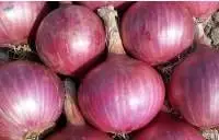 Onions