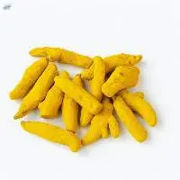 Turmeric Finger (Maharashtra Origin)