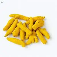 Lakadong Turmeric Finger