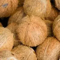 Semi Husked Mature Coconut