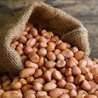 Grade A Organic Roasted Premium Groundnut