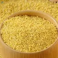 Premium Export Quality Organic Millet Grains
