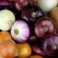 Organic Fresh Onion Vegetable Pack