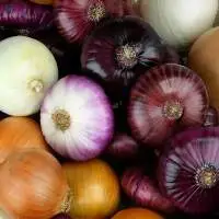 Organic Fresh Onion Vegetable Pack