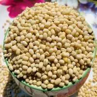 Premium Export Quality Organic Urad Dal Pack