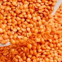 Grade A Organic Masoor Dal Premium Quality
