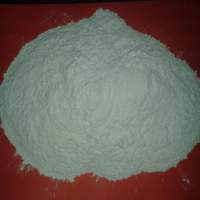Calcined Gypsum