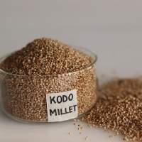 Kodo Millets
