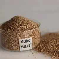 Kodo Millets