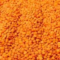 Lentil (Masoor)
