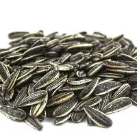 Sunflower Seed