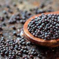 Mustard Seeds