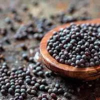 Mustard Seeds