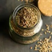 Fennel Seeds