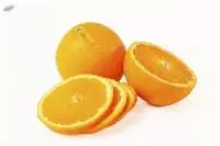 Premium Export Quality Fresh Oranges