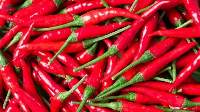 Premium Export Grade Fresh Chili Pepper