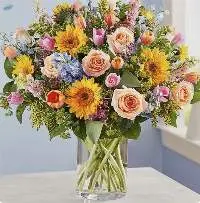Summer Flowers