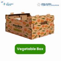Eco Friendly Vegetable Box for Fresh Food Storag
