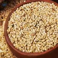 Sesame Seed