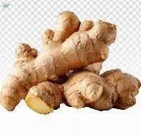 Ginger