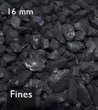 Steam Coal