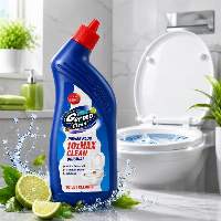 Toilet Cleaner 250 Ml