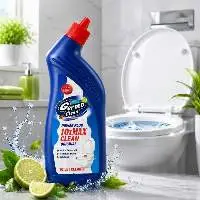 Toilet Cleaner 250 Ml