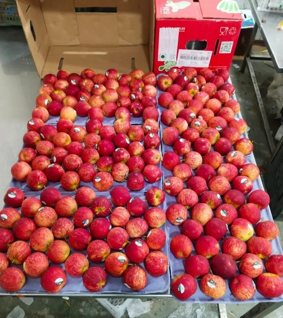 Fresh Apples