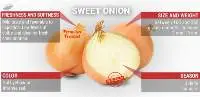 Peruvian Gold Sweet Onion