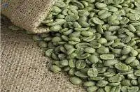 Green Coffee Grain