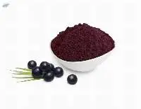 Acai Powder
