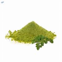 Moringa Powder