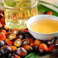 Palm Oil