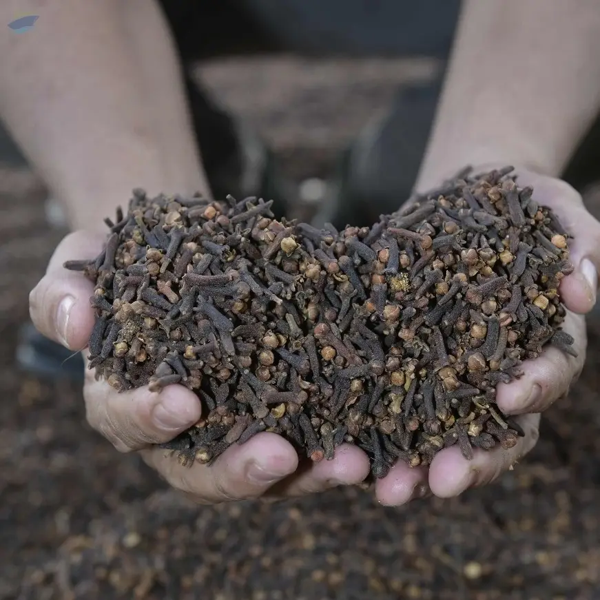 Cloves AB6 Premium Lal-Pari