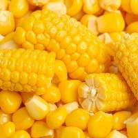 Yellow Corn